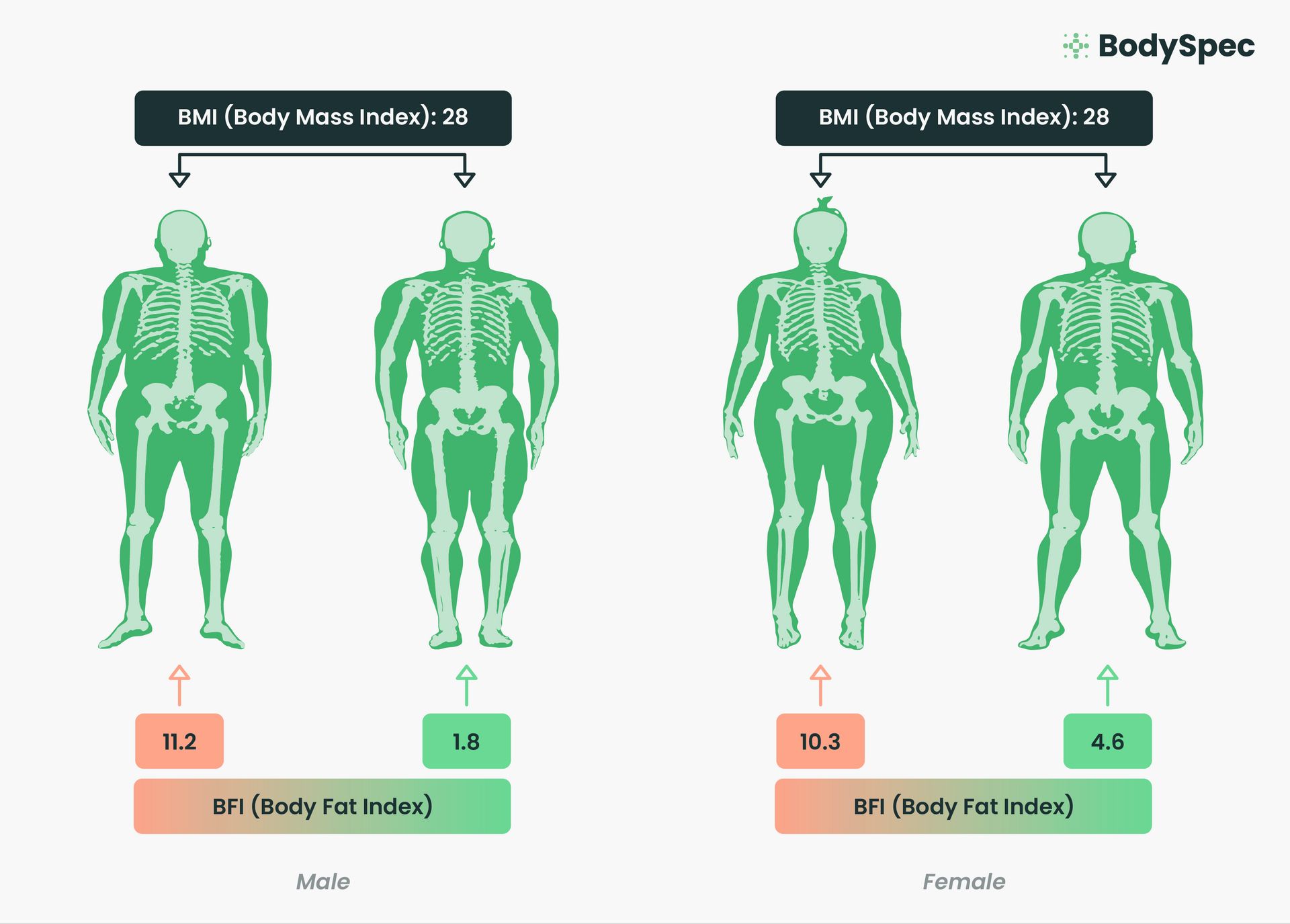 BMI is out. BFI is in. Why BodySpec created a better way to measure your  health.